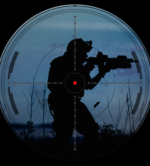 Thermal weapon sight view